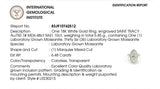 Desiree 18Karat White Gold Moissanite Engagement Ring