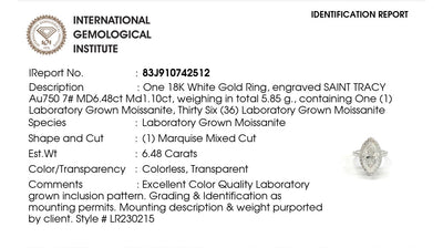 Desiree 18Karat White Gold Moissanite Engagement Ring